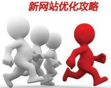 <b>成都网站建设优化</b>