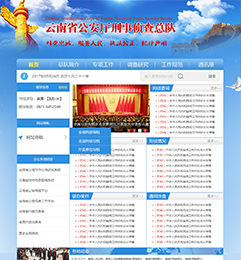云南省公安厅网站设计案例