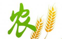 <b>成都农业行业信息网站建设服务平台系统</b>